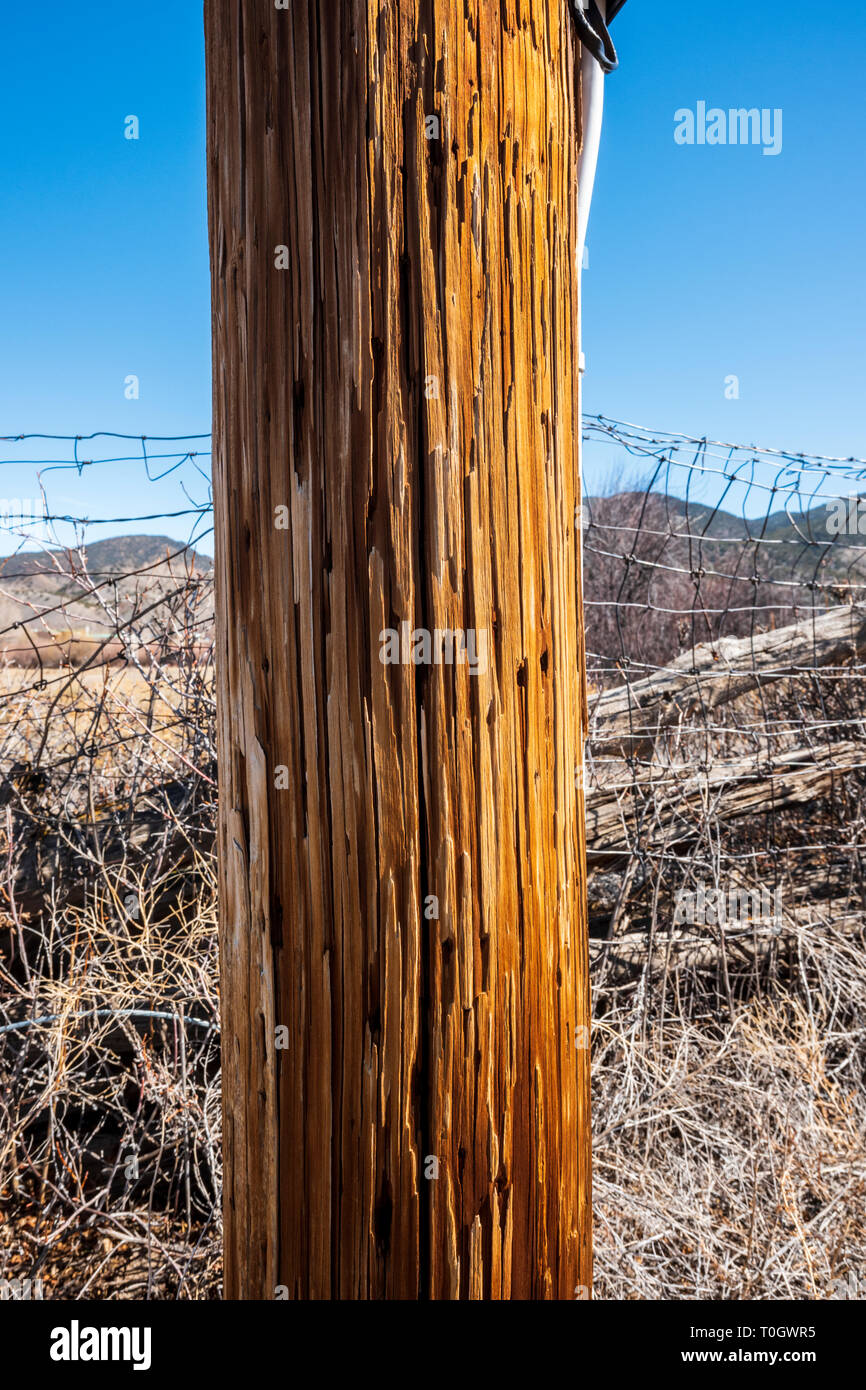 Nahaufnahme von Verwitterten hölzernen Telefonmast Stockfoto