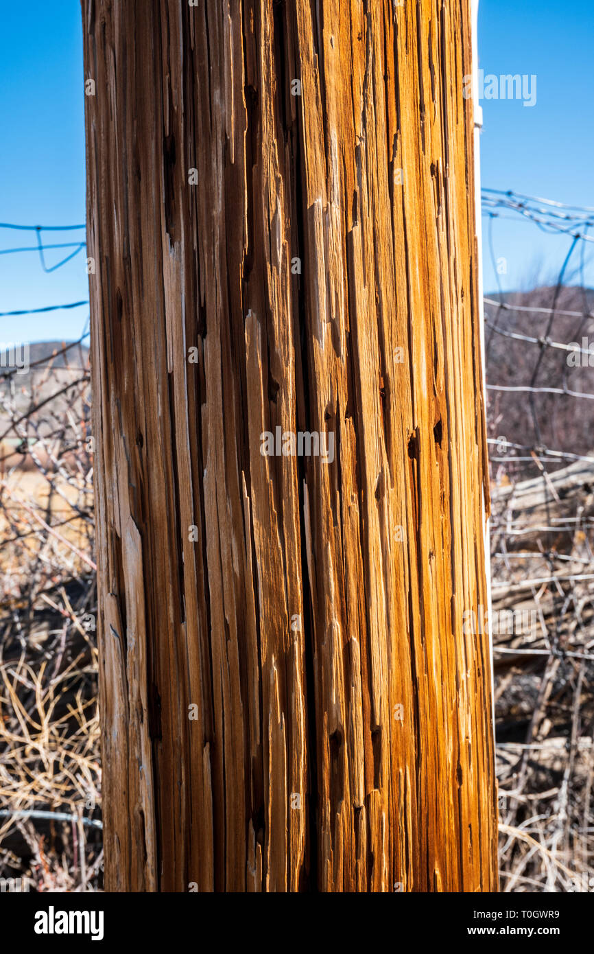 Nahaufnahme von Verwitterten hölzernen Telefonmast Stockfoto