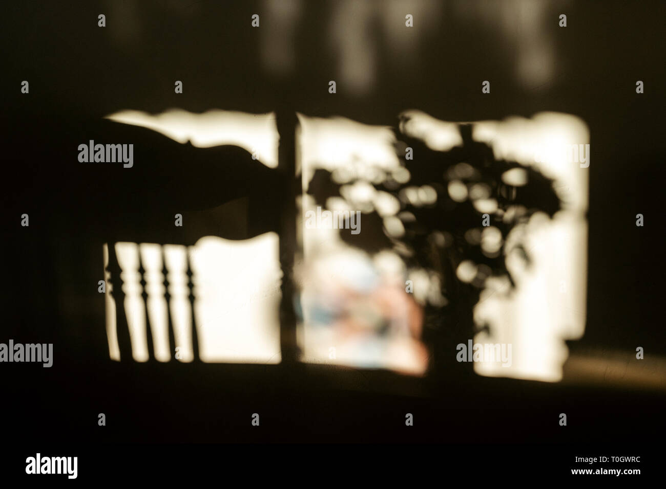 Morgen Sonnenlicht Projekte Schatten der Eiche Holz Spindel Stuhl & flower bouquet an der Wand Stockfoto