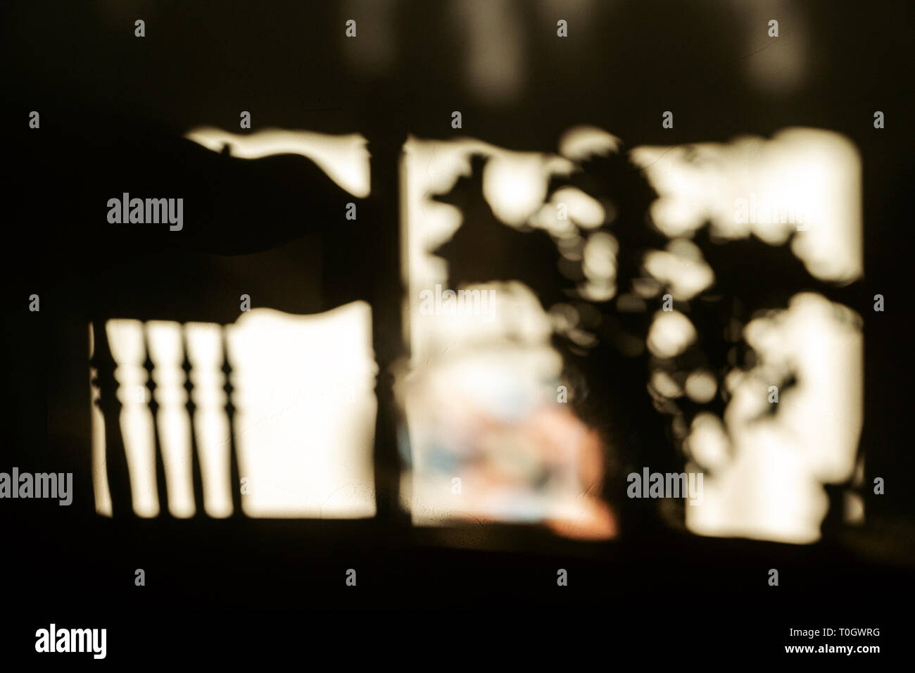 Morgen Sonnenlicht Projekte Schatten der Eiche Holz Spindel Stuhl & flower bouquet an der Wand Stockfoto