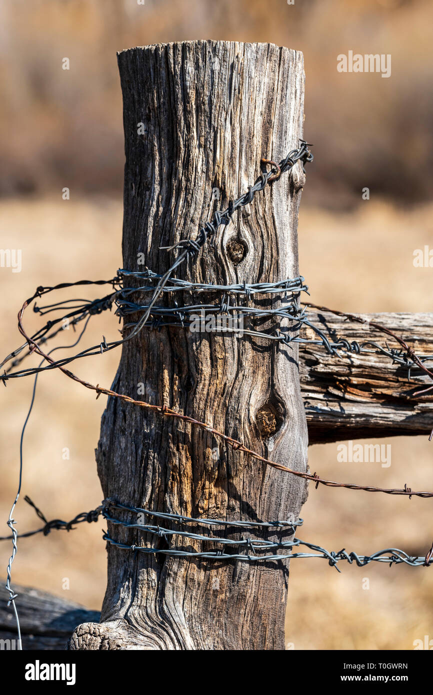 In der Nähe von Stacheldraht zaun & Holzzaun Post; Ranch in Colorado, USA Stockfoto