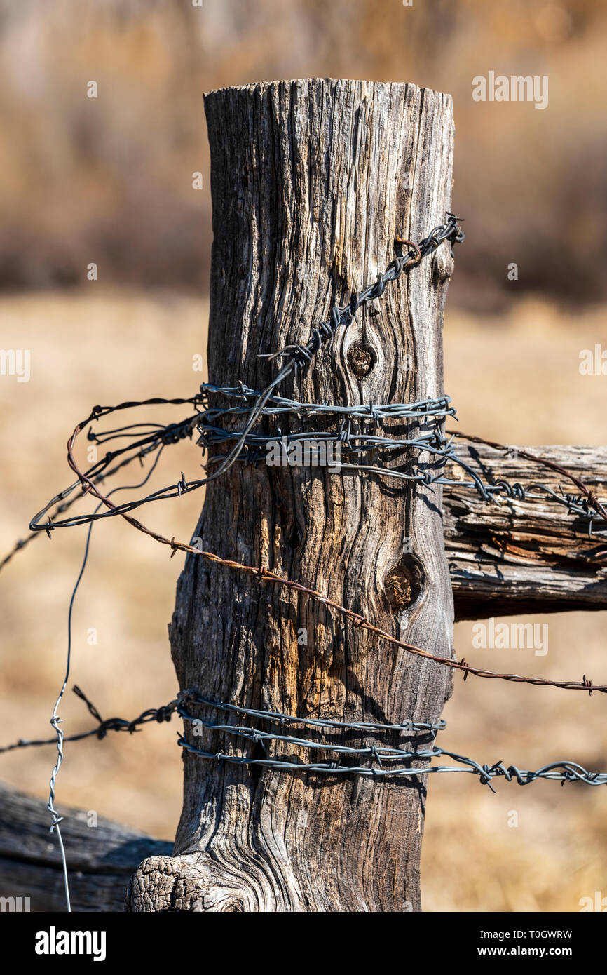 In der Nähe von Stacheldraht zaun & Holzzaun Post; Ranch in Colorado, USA Stockfoto