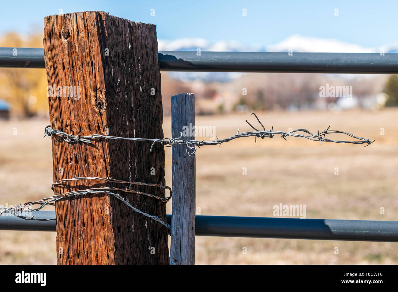 In der Nähe von Stacheldraht zaun & Holzzaun Post; Ranch in Colorado, USA Stockfoto