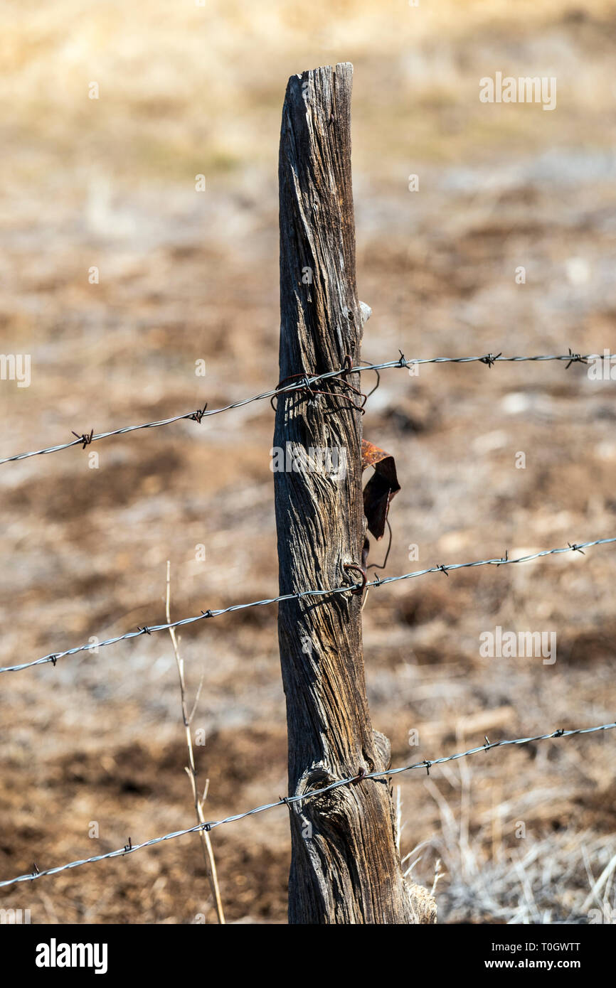 In der Nähe von Stacheldraht zaun & Holzzaun Post; Ranch in Colorado, USA Stockfoto