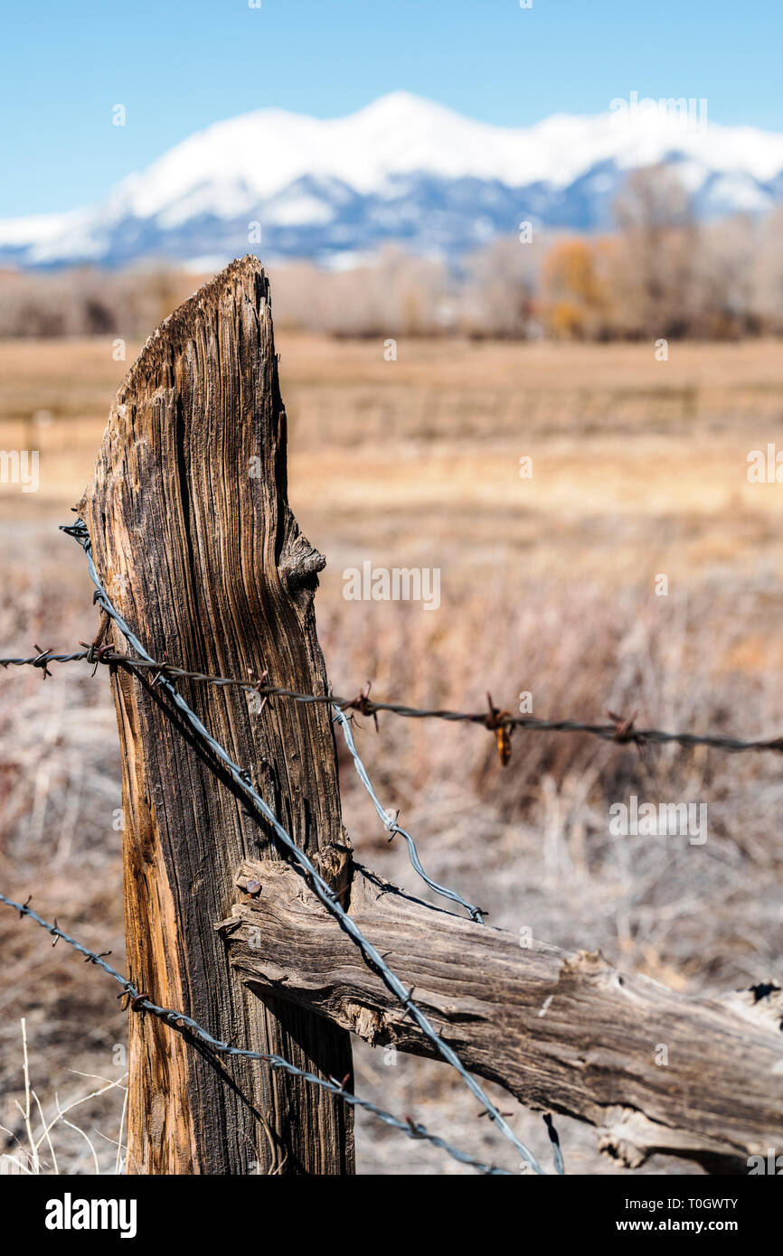 In der Nähe von Stacheldraht zaun & Holzzaun Post; Ranch in Colorado, USA Stockfoto