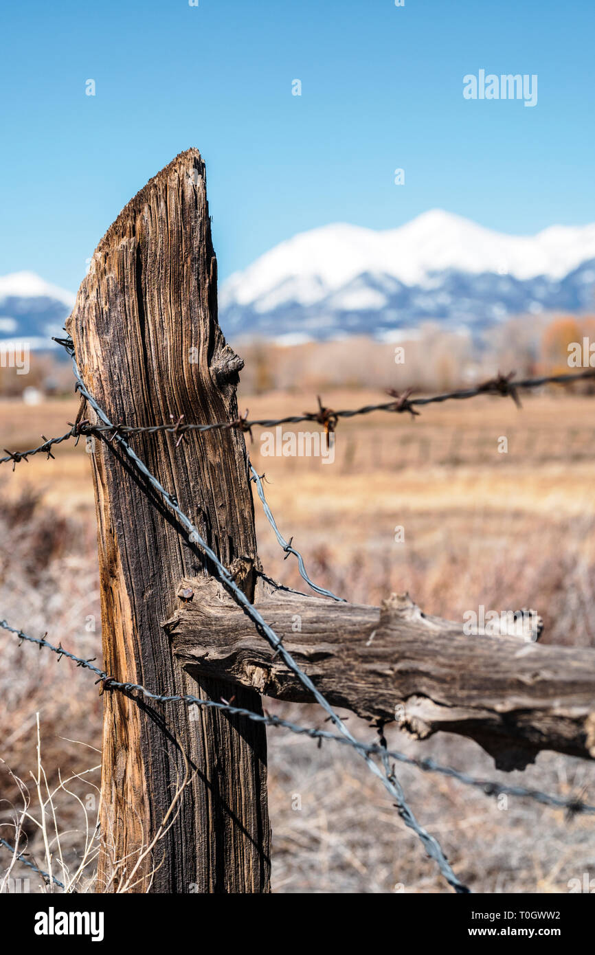 In der Nähe von Stacheldraht zaun & Holzzaun Post; Ranch in Colorado, USA Stockfoto