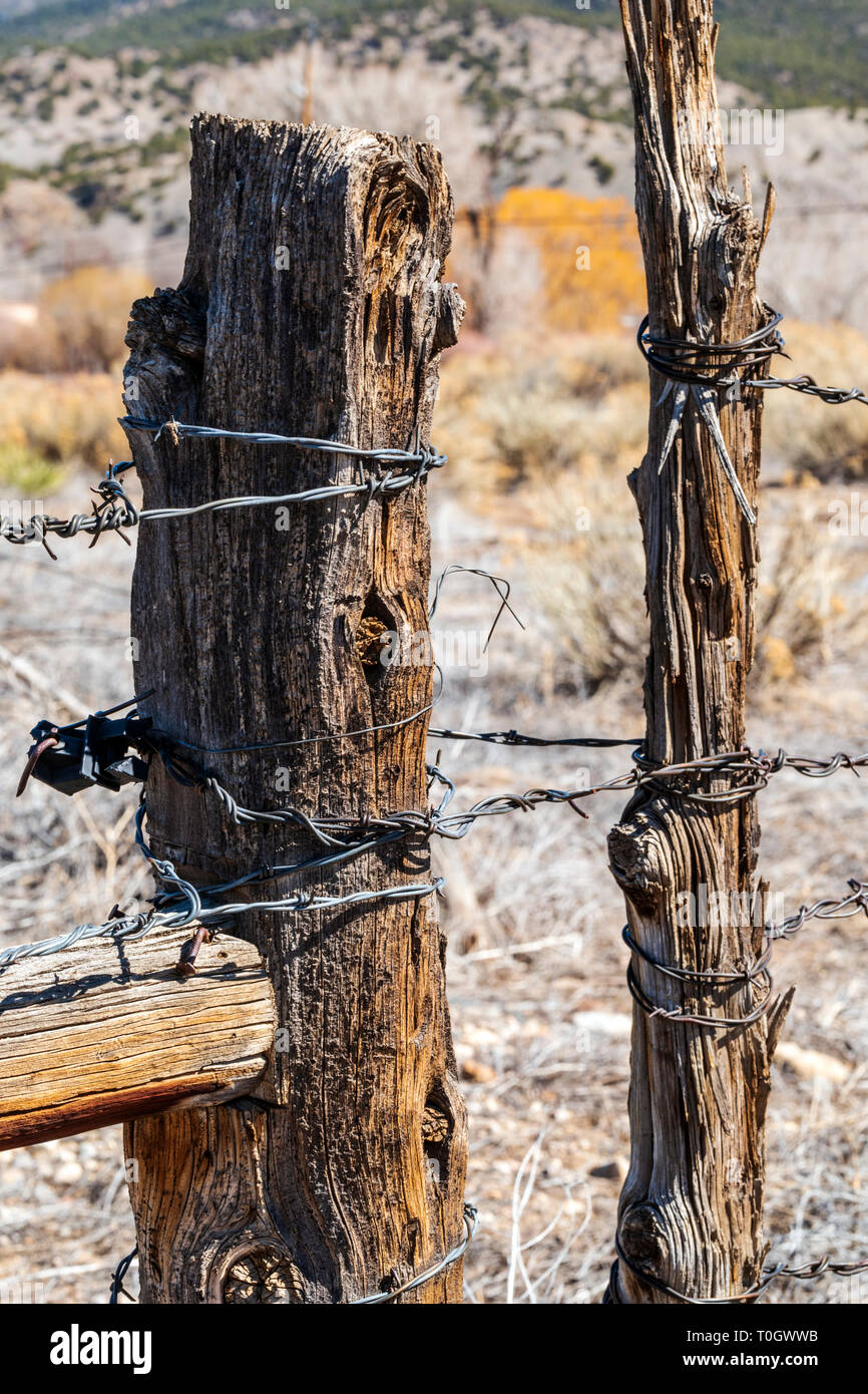 In der Nähe von Stacheldraht zaun & Holzzaun Post; Ranch in Colorado, USA Stockfoto