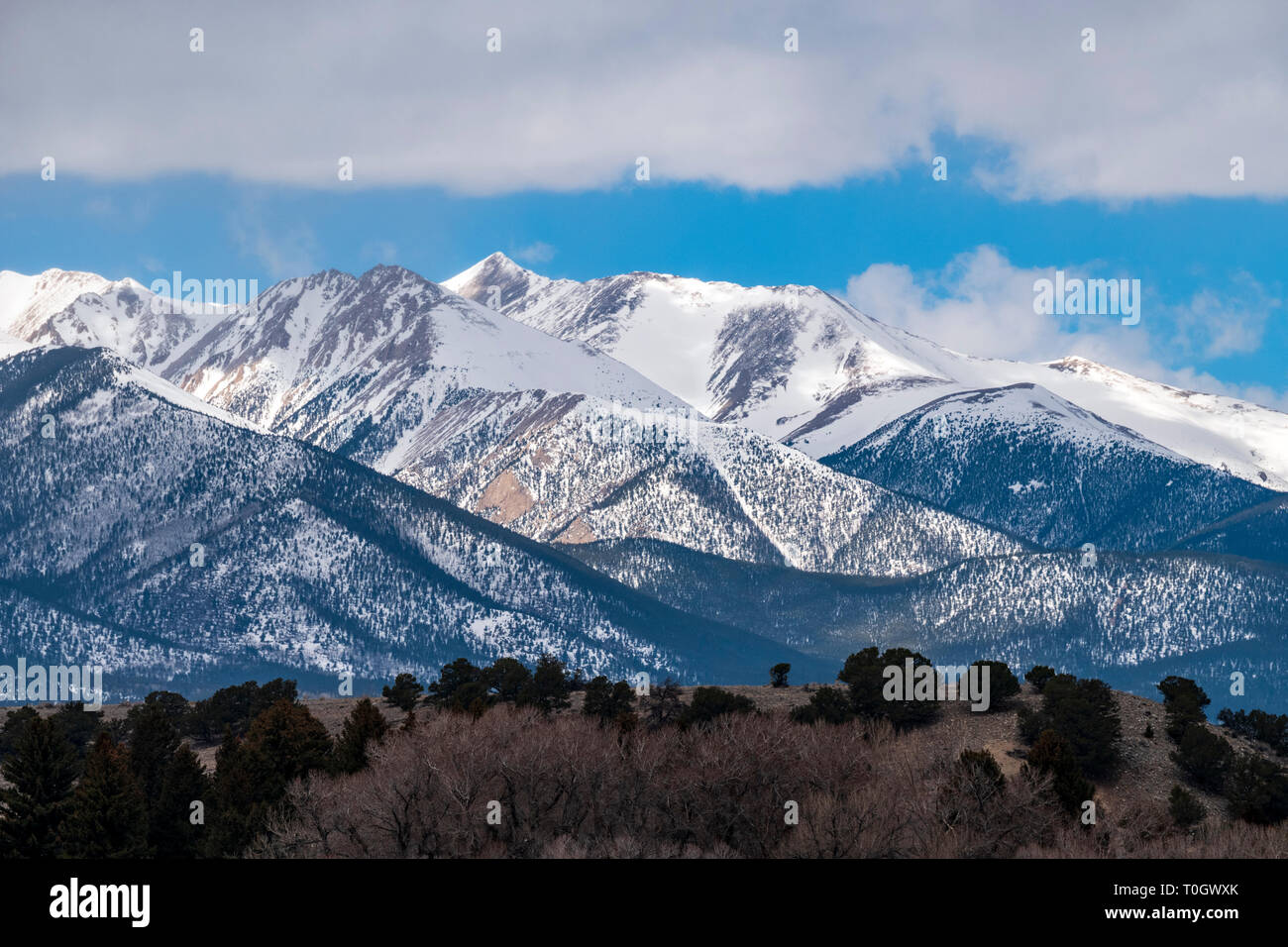 Die schneebedeckten Sawatch Range; Collegiate Peaks; Rocky Mountains von Arkansas River Valley gesehen; Colorado; USA Stockfoto