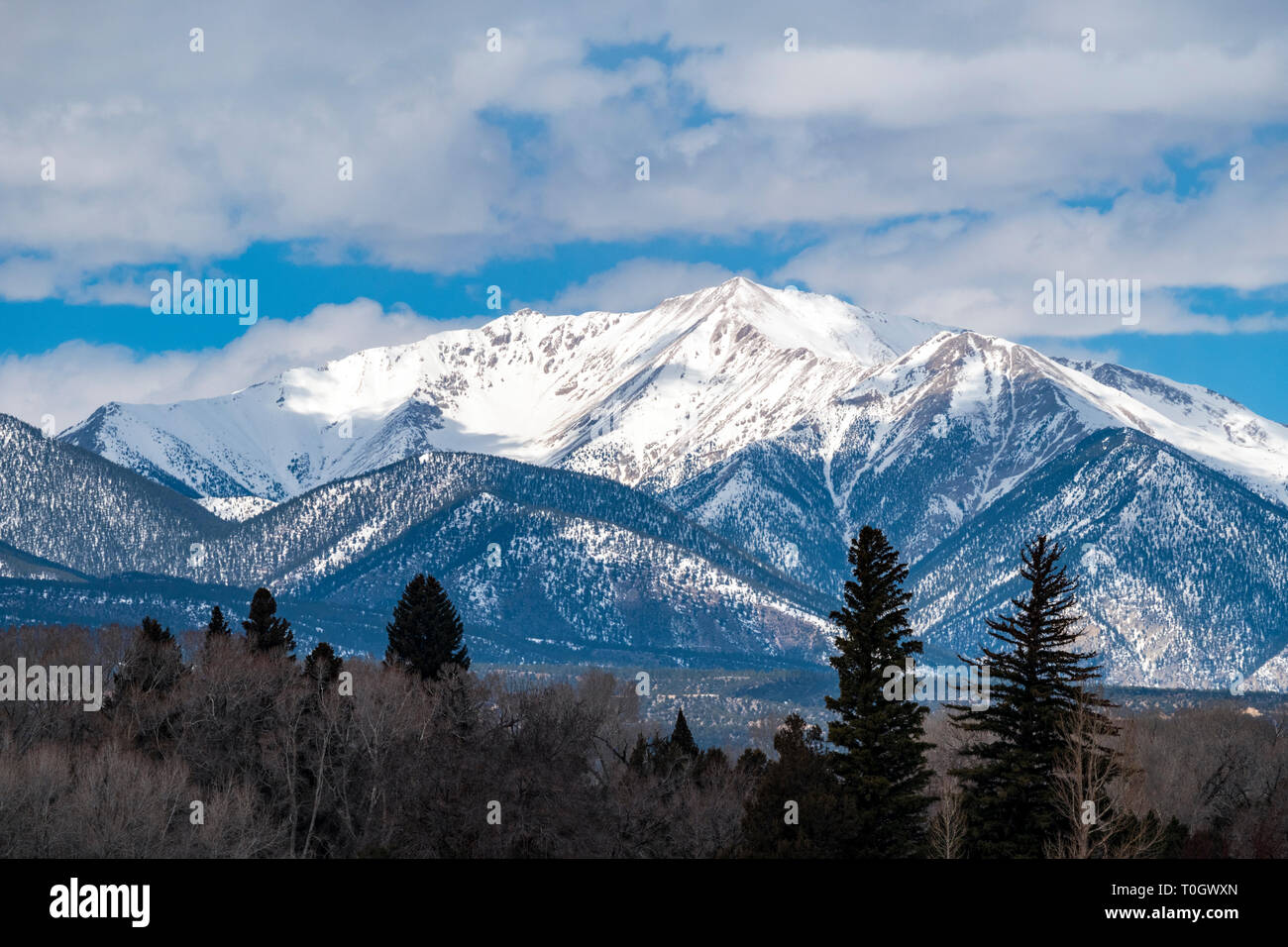 Die schneebedeckten Sawatch Range; Collegiate Peaks; Rocky Mountains von Arkansas River Valley gesehen; Colorado; USA Stockfoto