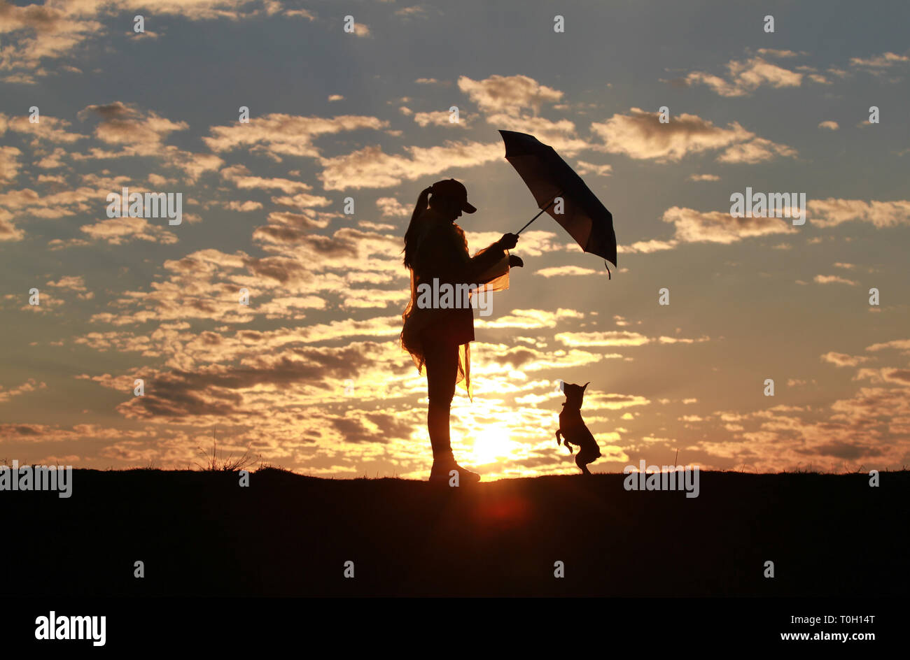 Silhouette glückliches Mädchen mit Schirm und Hund pinscher Vor dem Hintergrund der unglaublichen Sonnenuntergang, Himmel und Wolken Stockfoto