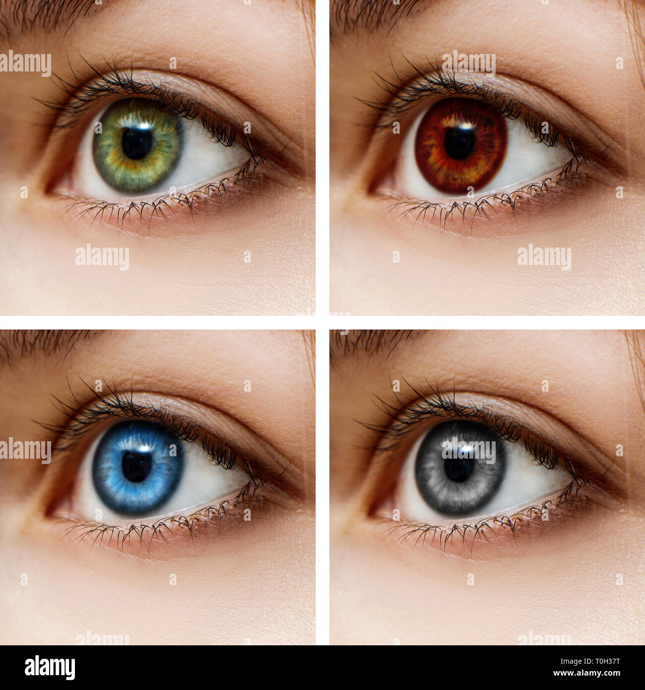 Verschiedene bunte Kontaktlinsen. Stockfoto