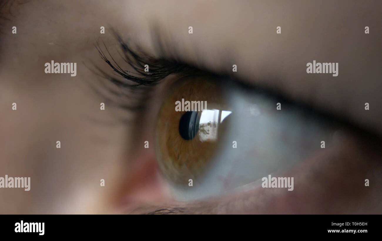 Auge einer Frau, die Seitenansicht, Reflexion eines Fensters, braune Augen, Makro schießen Stockfoto