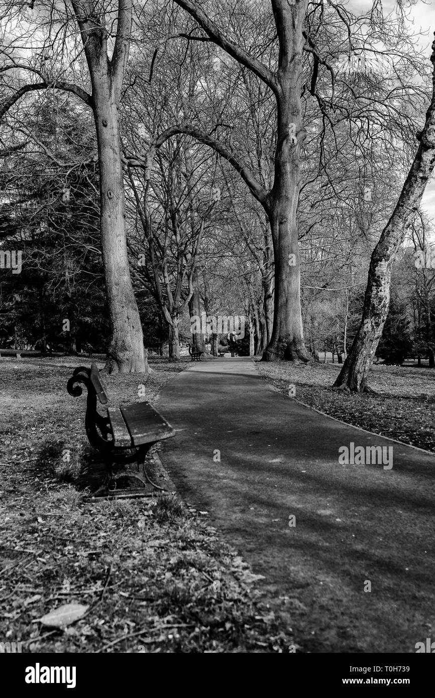 Tag in den Park Stockfoto