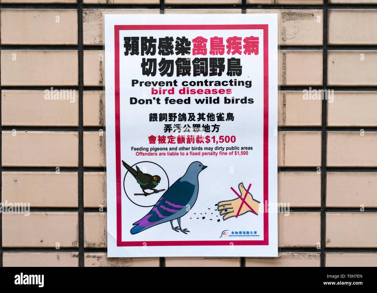 Warnschild, Leuten zu erklären, nicht Tauben zu füttern, Sonderverwaltungsregion der Volksrepublik China, Hongkong, China Stockfoto