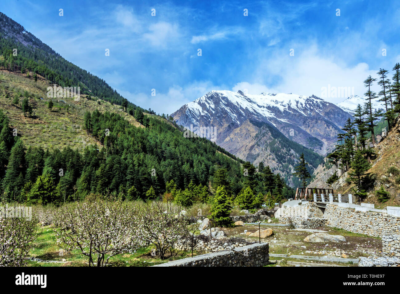 Wanderweg, Harsil, Uttarakhand, Indien, Asien Stockfoto