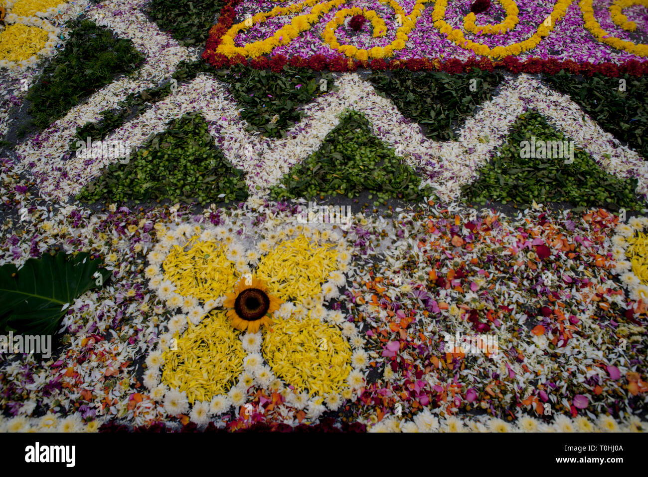Heilige Woche Surco Blütenteppich, Lima, Peru, 2015. Schöpfer: Luis Rosendo. Stockfoto
