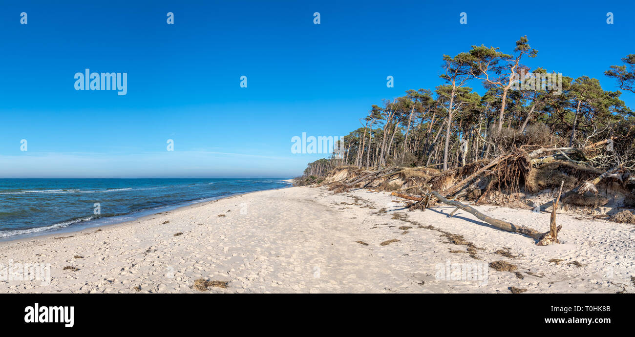 Lonely Beach "Weststrand" an der Westküste der Insel Darß (Mecklenburg-Vorpommern, Deutschland) Stockfoto