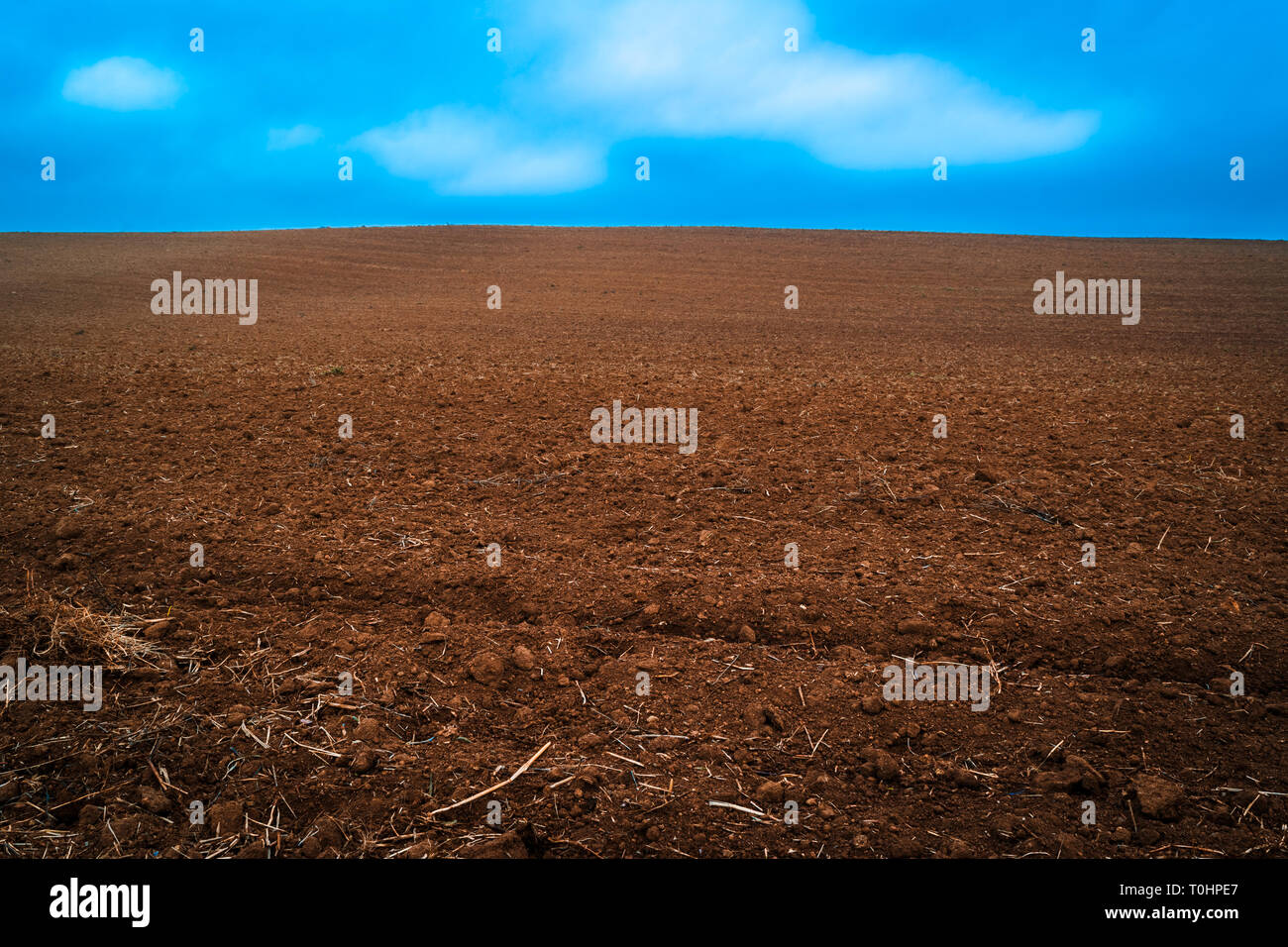 Landschaft auf einem Hügel mit Ödland kultivierten, Horizont unter einem blauen Himmel, die Zeichen der Pflug, Dürre und die hungersnot von einer Mondlandschaft Stockfoto