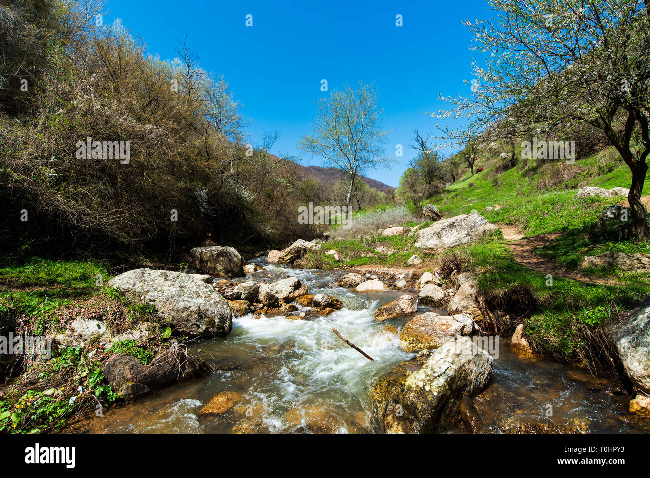 Malerische kleine Fluss und die natürliche Landschaft im Frühjahr an einem sonnigen Tag Stockfoto
