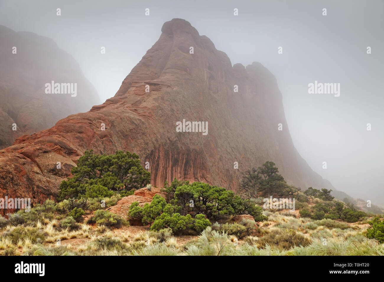 Nebeliger morgen in den Arches National Park, Utah, USA Stockfoto