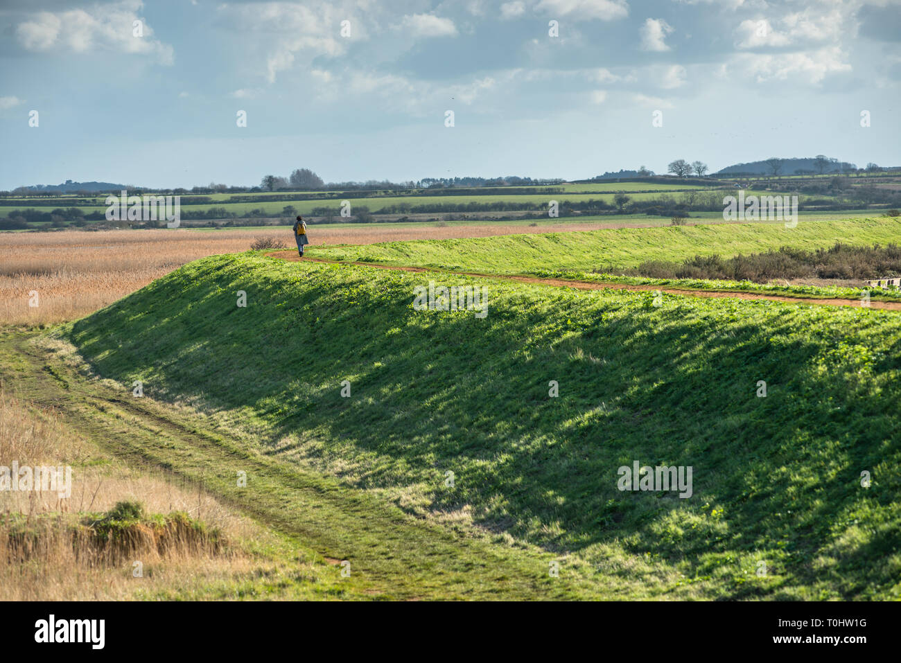 Blick von Norfolk Coast Path National Trail in der Nähe von Barnham Overy Staithe, East Anglia, England, UK. Stockfoto