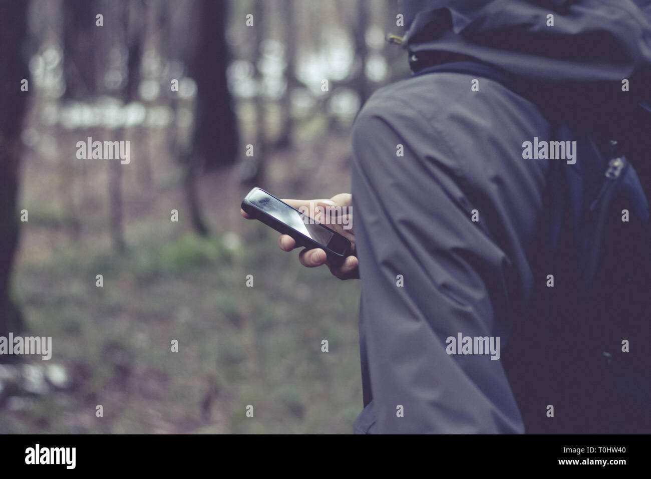 Der Mensch ist ein Smartphone und auf der Suche nach einem Weg in den Wald. Farben Foto Stockfoto
