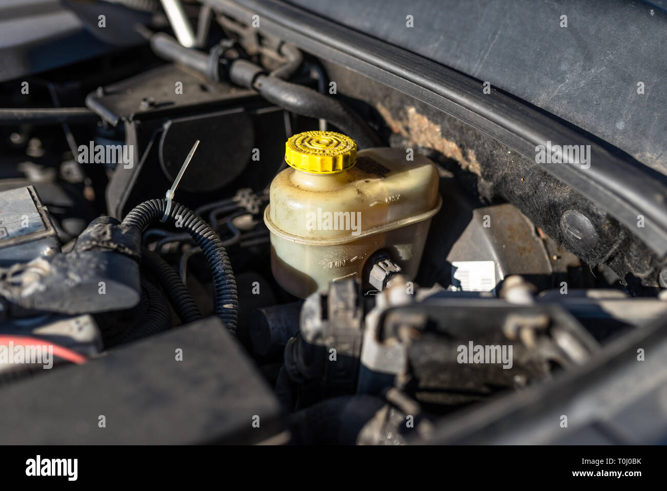 Ausgleichsbehälter Bremsflüssigkeit im Motorraum. Stockfoto