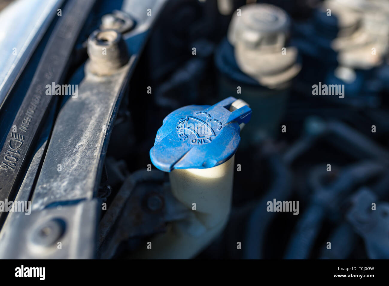 Vorratsbehälter der Scheibenwaschanlage mit blauem Verschluss, im Motorraum. Stockfoto