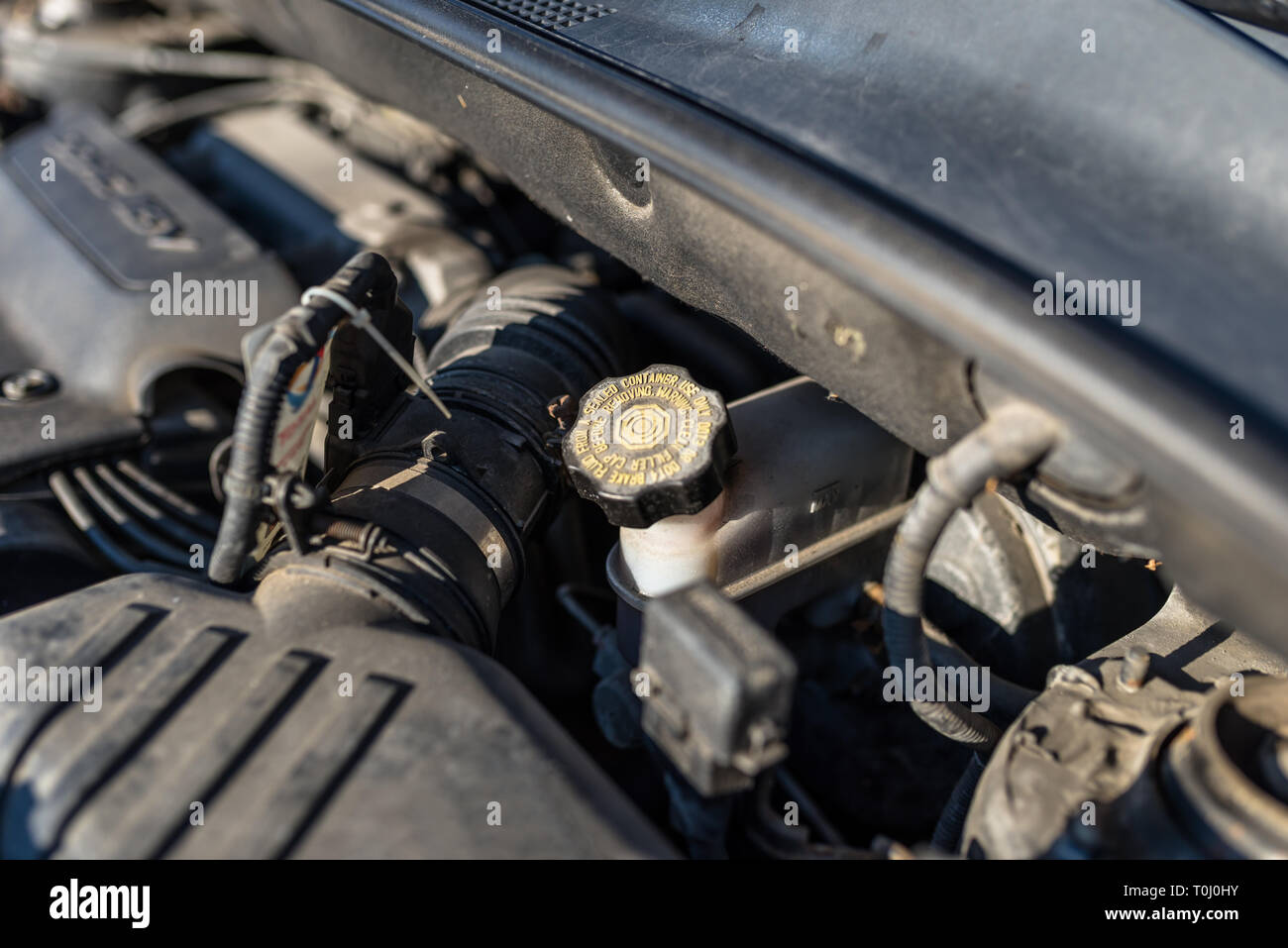 Ausgleichsbehälter Bremsflüssigkeit im Motorraum. Stockfoto
