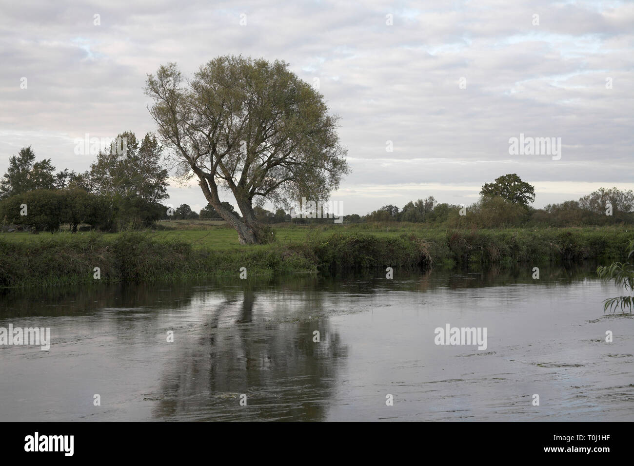 Fluss Avon Ringwood Hampshire England Stockfoto