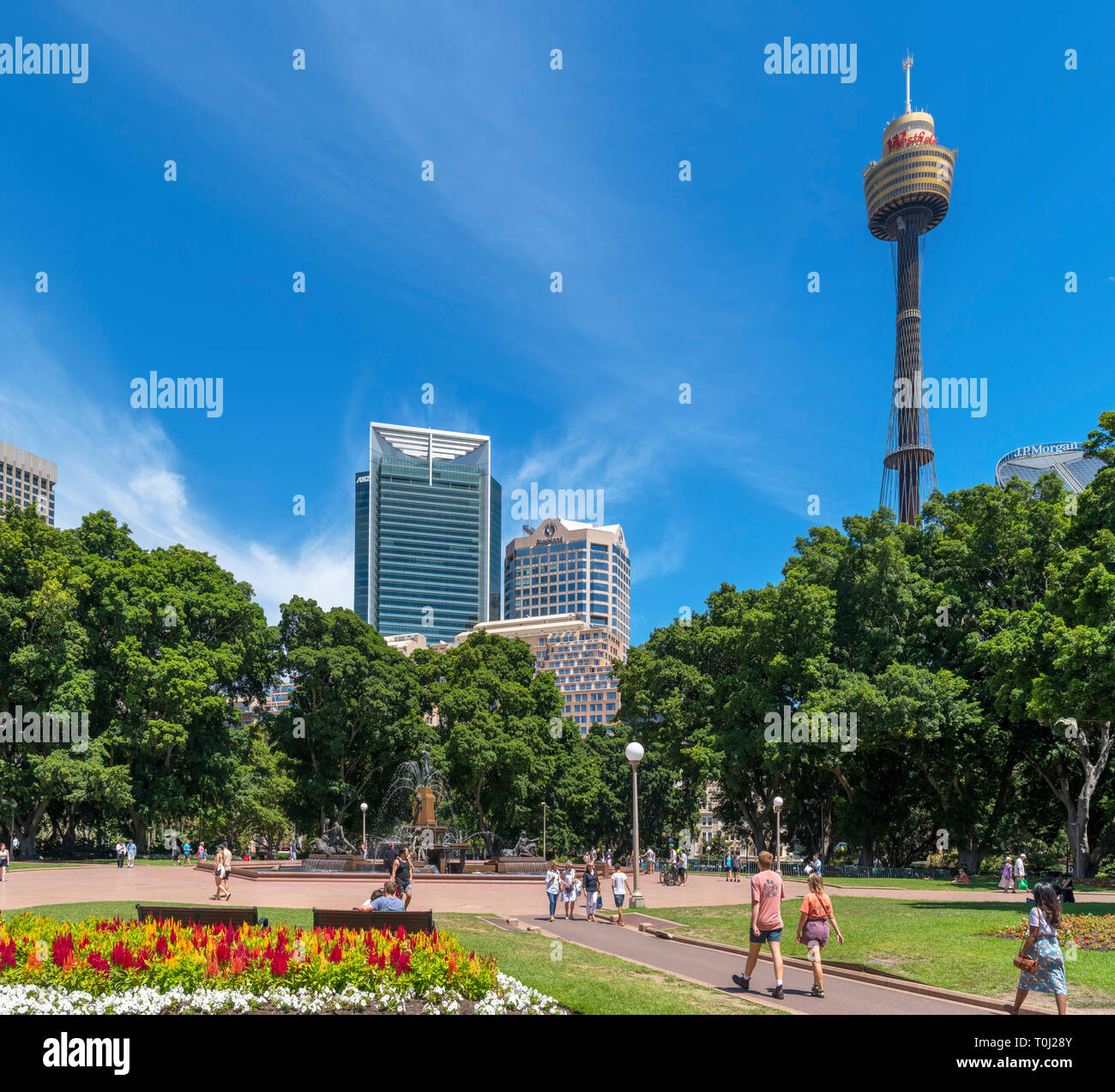 Sydney Tower und Central Business District (CBD) von Hyde Park, Sydney, Australien Stockfoto