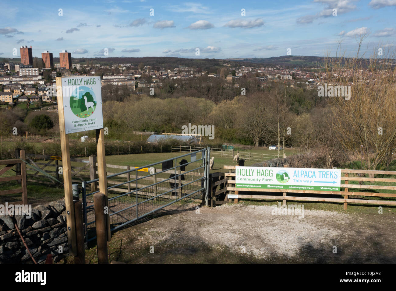 Das Eingangstor nach Sheffield Alpaka Farm, an Holly Hagg Familie Alpaka Trekking. Stockfoto