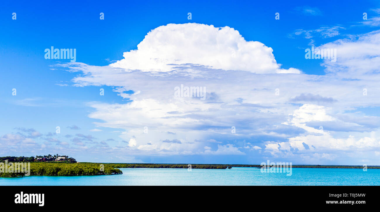 Gewitterwolken, die in den Mangroven der Roebuck Bay. Broome, WA Stockfoto