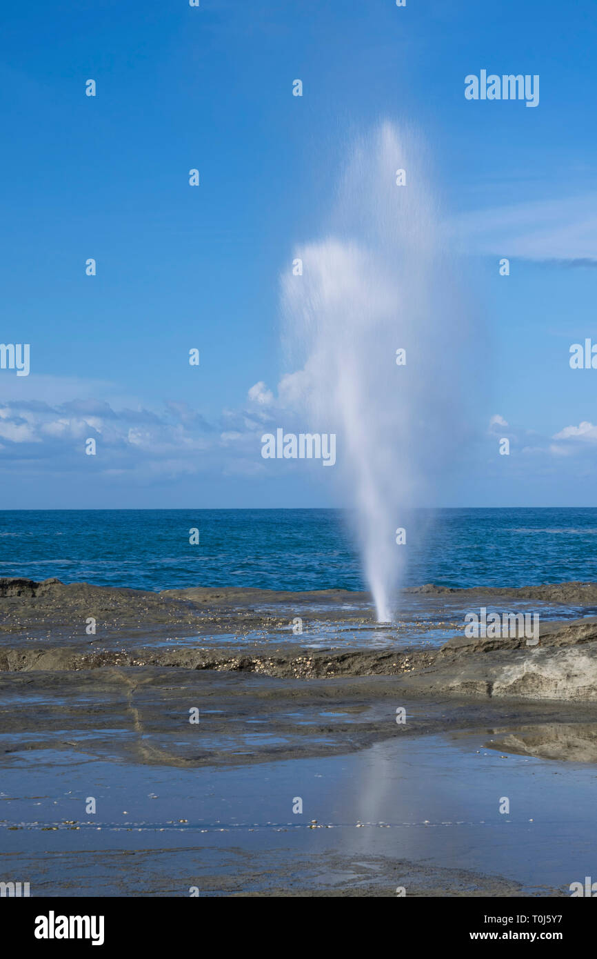 Seruling Samudera (Ocean's Flöte) platzen nach oben, durch starke Welle unter dem Felsen getrieben. In Pacitan entfernt Stockfoto