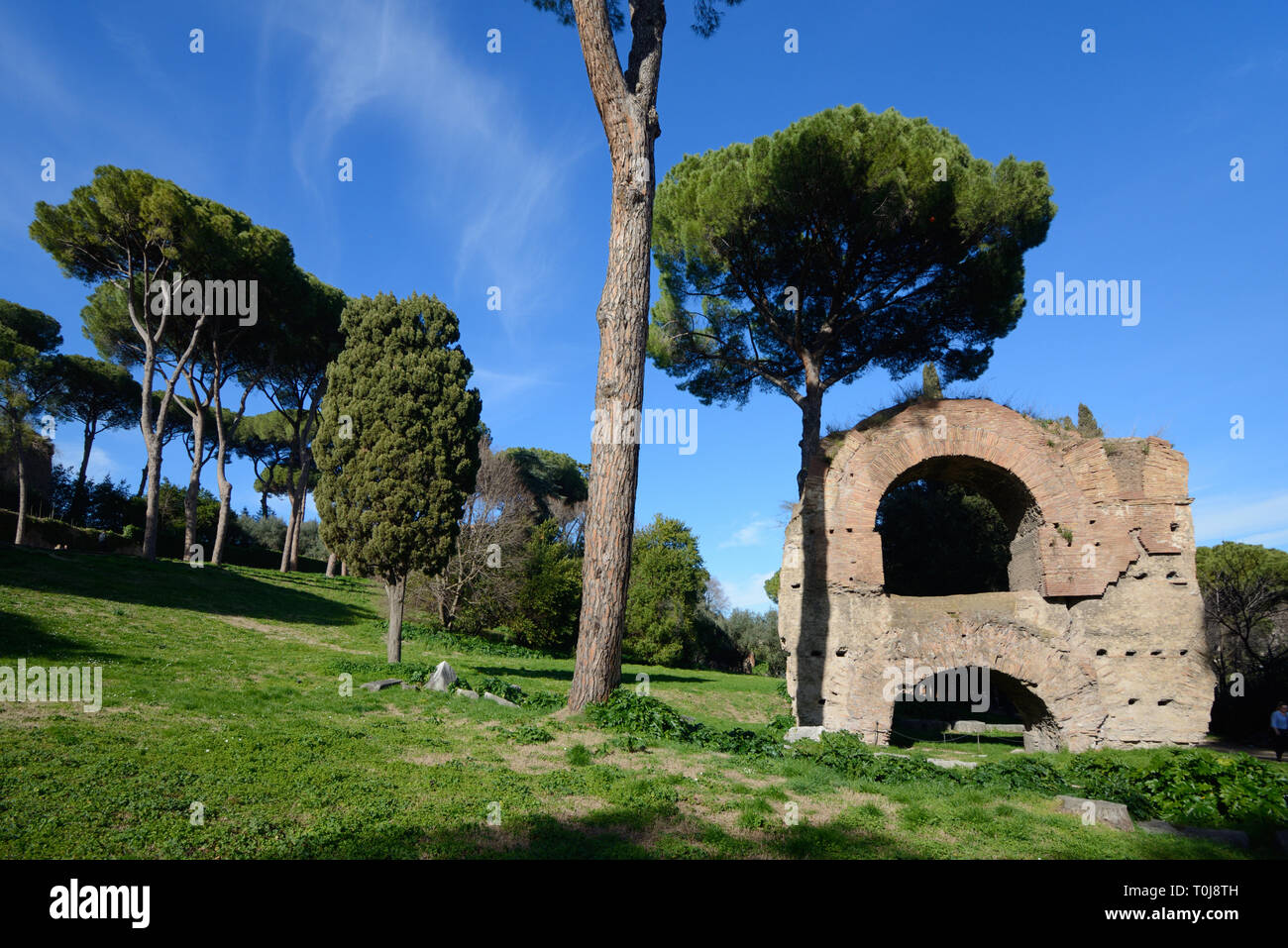 Ruinen der Aqua Claudia antike römische Aquädukt, oder Neros Aquädukt (Arcus nerioniani) auf dem Palatin Palatin oder Gärten, Rom, Italien Stockfoto