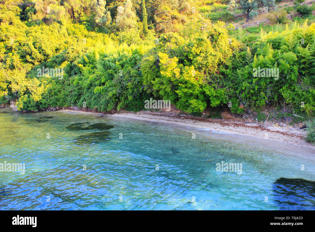 Wunderschöne Insel Scorpios (Ionisches Meer), von Onassis in Familienbesitz. Stockfoto