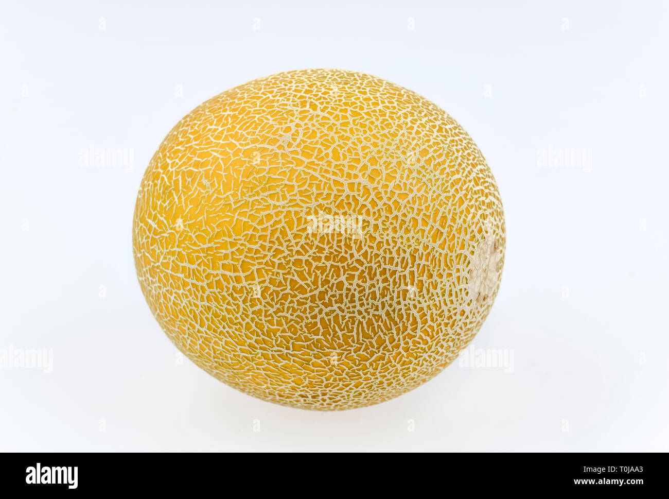 Galia-melone, Studio eintritt, Galia-Melone, Studioaufnahme Stockfoto