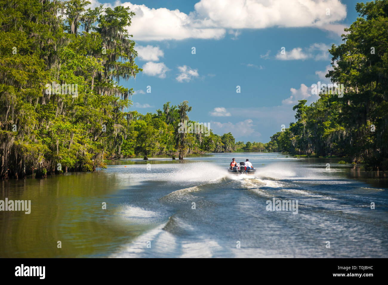 Mit einem Schnellboot in den Sümpfen von Louisiana, Bayou Schwarz, Vereinigte Staaten von Amerika, Nordamerika Stockfoto