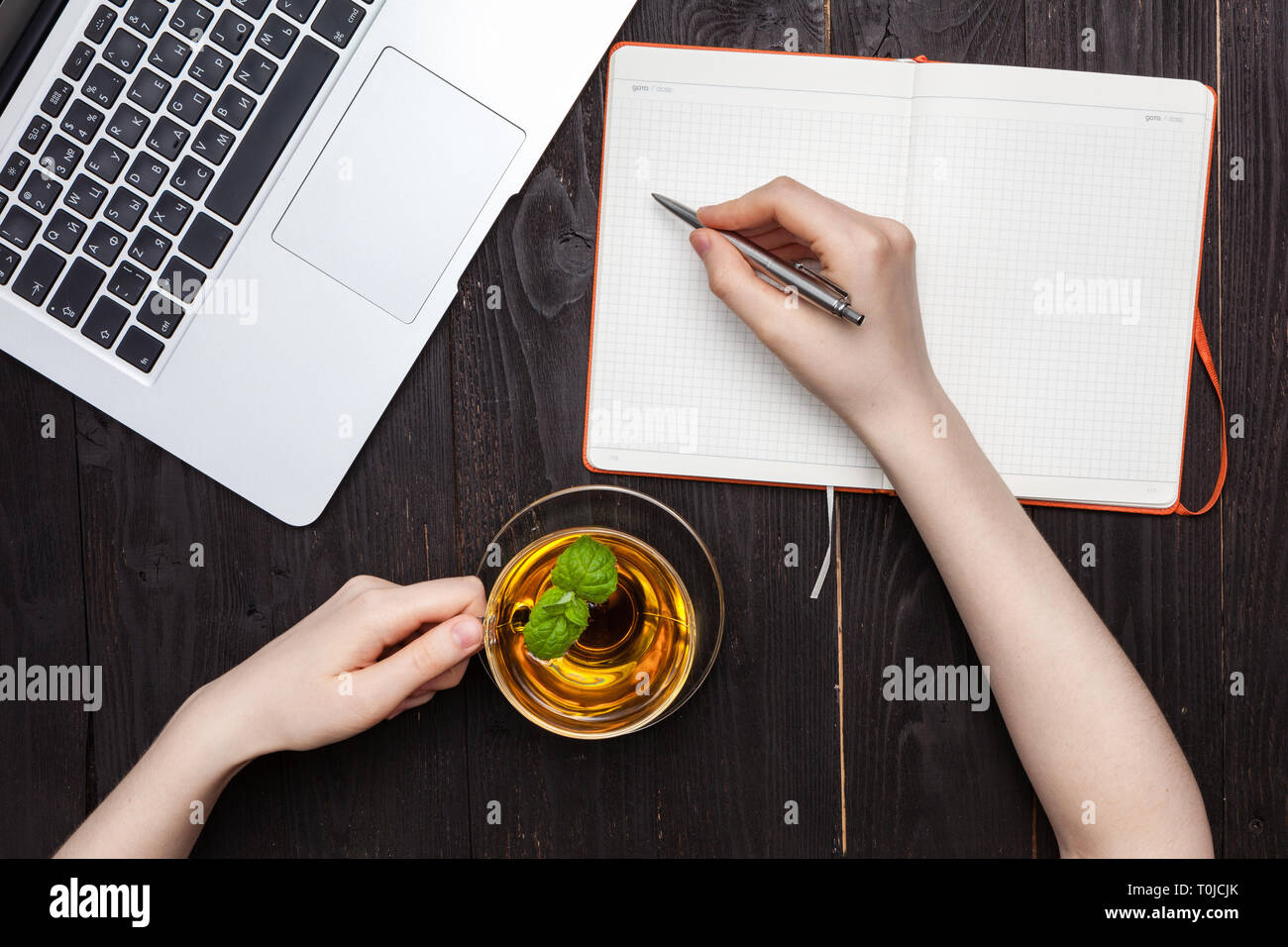 Frau Hände zeichnen oder schreiben mit Kugelschreiber in offenen Notebook Stockfoto