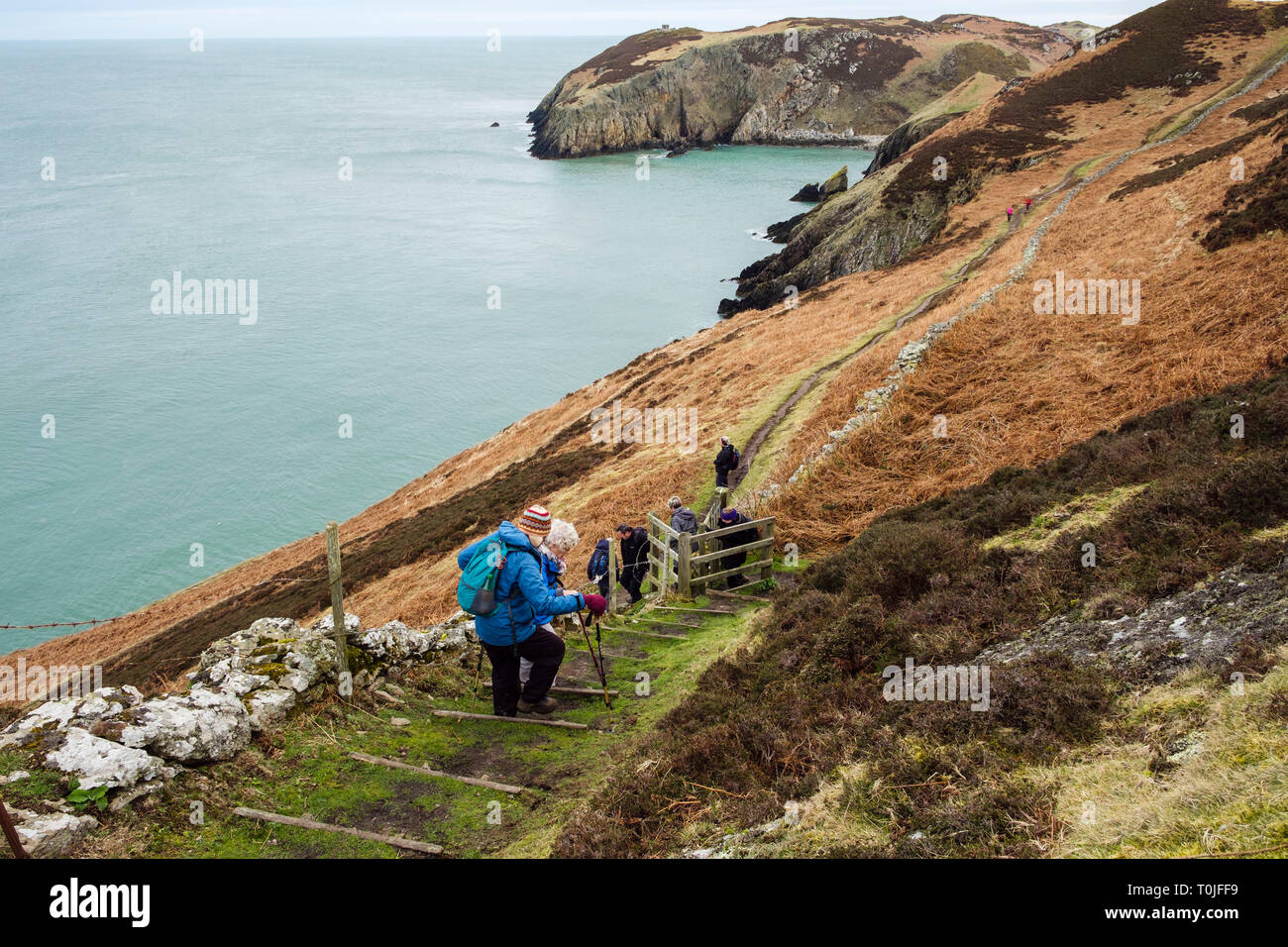 Wanderer wandern Sie Schritte auf Wales Coast Path Küstenweg Richtung Porth Llanlleiana von Cemaes, Isle of Anglesey, Wales, Großbritannien, Großbritannien Stockfoto