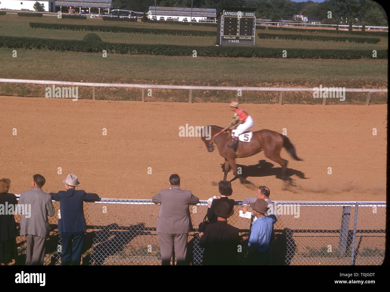 Pferd und Reiter wieder in den Paddock trotten nach einem Rennen auf der Rennbahn in Bel Air Bel Air, Maryland, 22. September 1948. Die Strecke geschlossen im Jahre 1960 und ist heute der Standort des Harford Mall. () Stockfoto