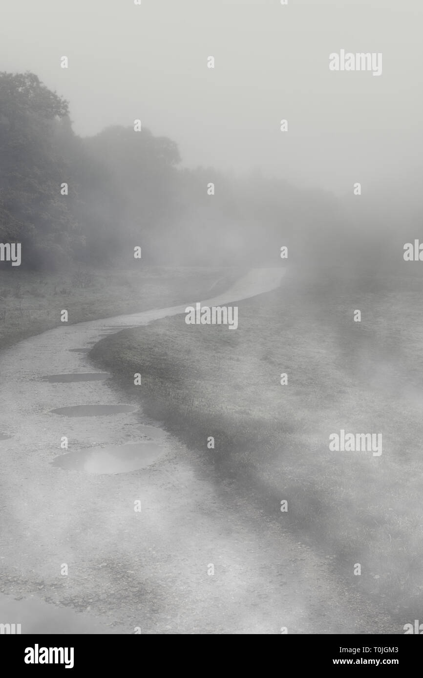 Nebel rollt über Pfützen auf einem nassen gewundenen Pfad schlängelt sich durch einen dunklen und nebligen Wald Wiese Stockfoto