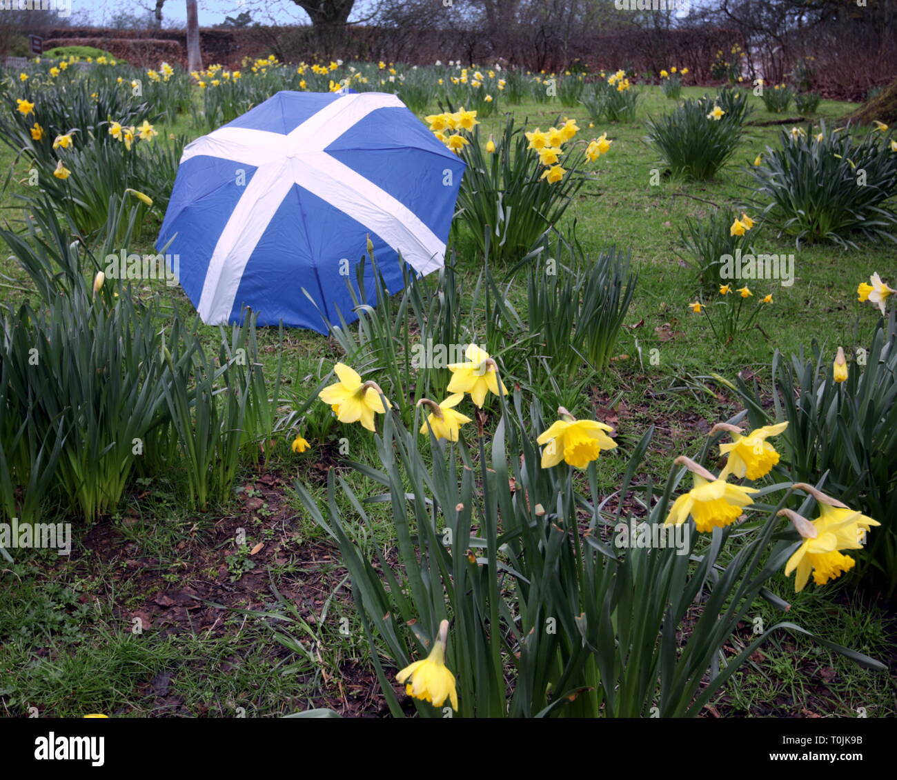 Glasgow Schottland Uk 20 Marz 2019 Uk Wetter