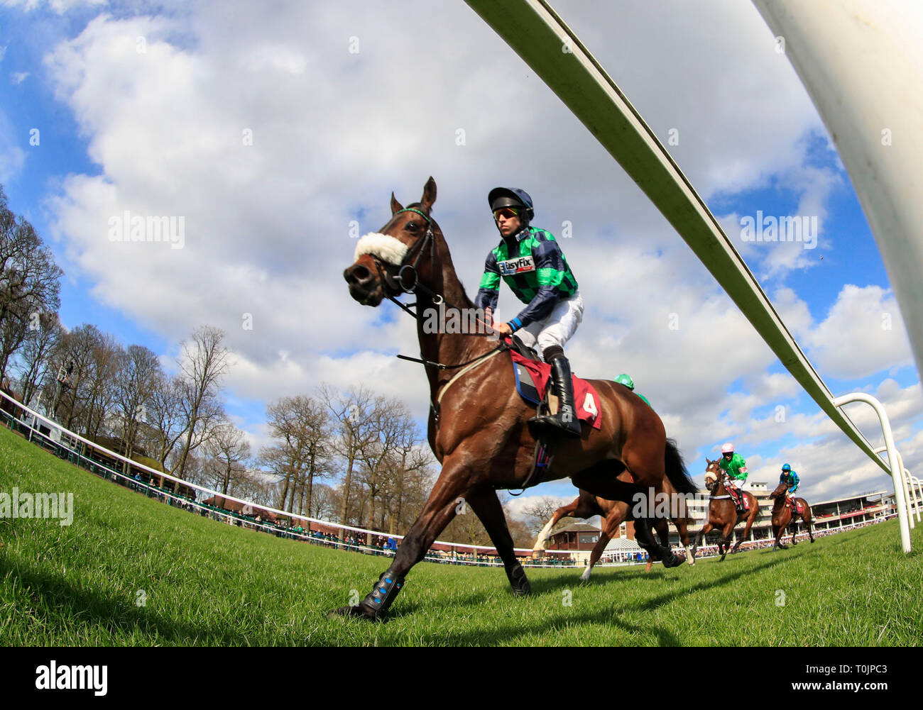 Haydock Park Racecourse, Merseyside, UK. 20 Mär, 2019. Pferderennen in Haydock Park; Gavin Sheehan auf Escort 'NaMix führt rund um den ersten Stromkreis in der Racing School's Mare Novizen Hürde Credit: Aktion plus Sport/Alamy leben Nachrichten Stockfoto