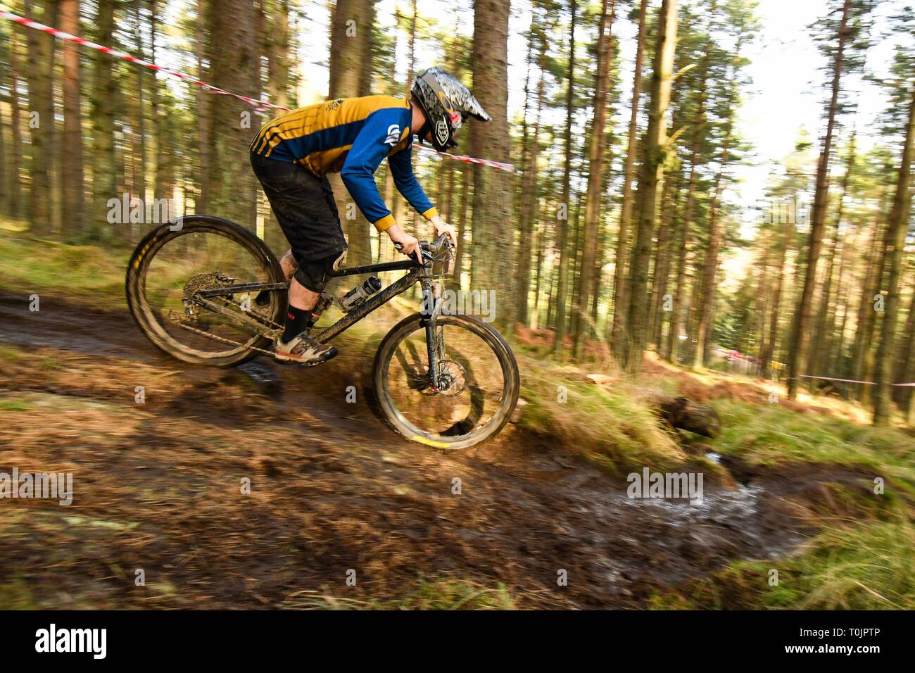 Pitfichie, Inverurie, North East, UK. 20 Mär, 2019. UK Wetter - ein Mountainbiker konkurrieren in der Granite City Challenge 2019 mit einem hellen Nachmittag am Pitfichie Trails. Über 500 Athleten aus zwei Universitäten von Aberdeen - Robert Gordon University, Aberdeen University teil in der jährlichen cross Disziplin Sportveranstaltung. Credit: Kay Roxby/Alamy leben Nachrichten Stockfoto