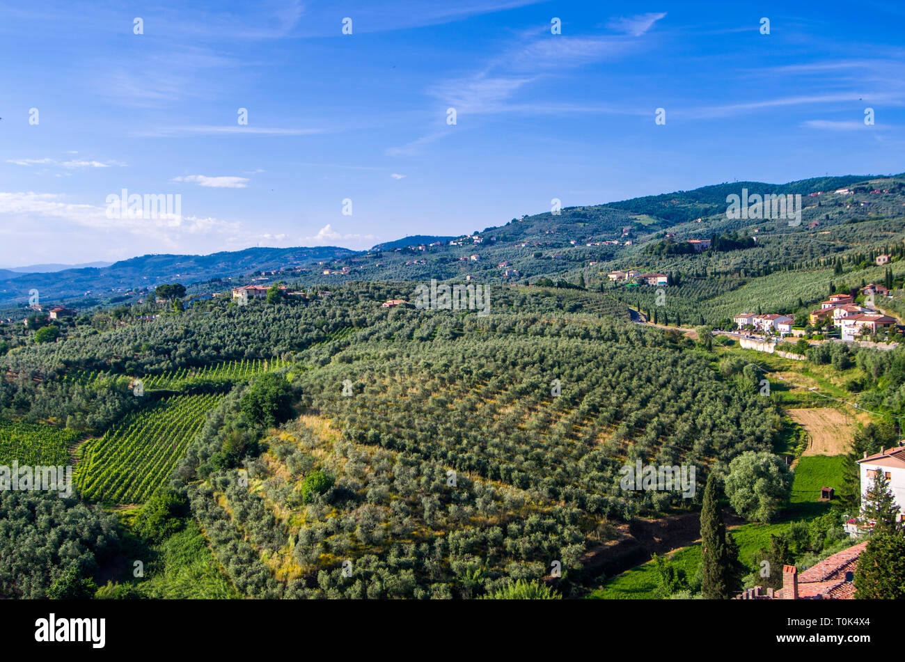 Grün der toskanischen Landschaft mit Weinbergen, Olivenhainen, Wäldern, Farmen und Stadt unter dem blauen Himmel Stockfoto