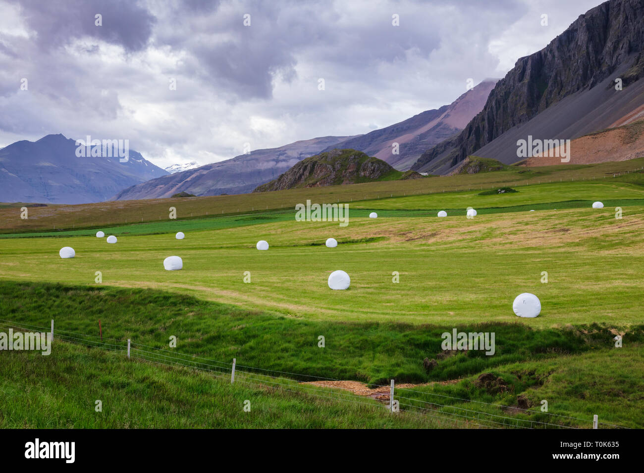 Isländische Landschaft mit weißen Kunststoff verpackte Heuballen auf einem Feld unter düsteren Himmel mit vulkanischen Berg im Hintergrund - rauhe landwirtschaftlichen c Stockfoto
