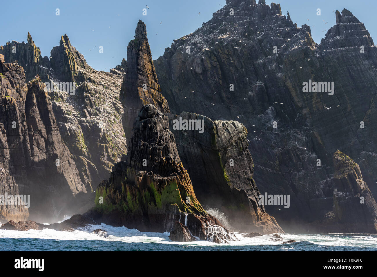 Herrlichen Klippen von Little Skellig, Co Kerry, Irland Stockfoto