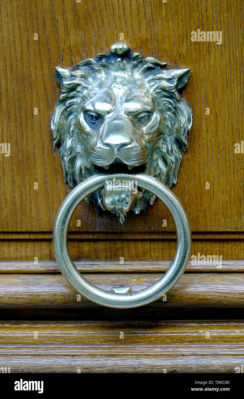 Nahaufnahme eines Silbernen Löwen Kopf Tür auf einer hölzernen schwere Tür klopfen in Paris, Frankreich Stockfoto