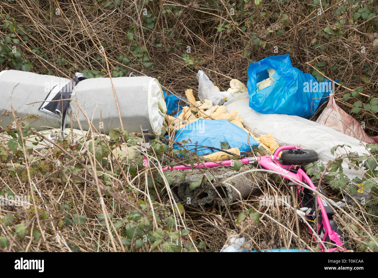 Müll in der Landschaft fliegen gespitzt, Co Durham, England, Großbritannien Stockfoto